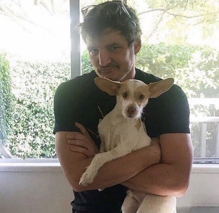 ashley🤍 tweet media