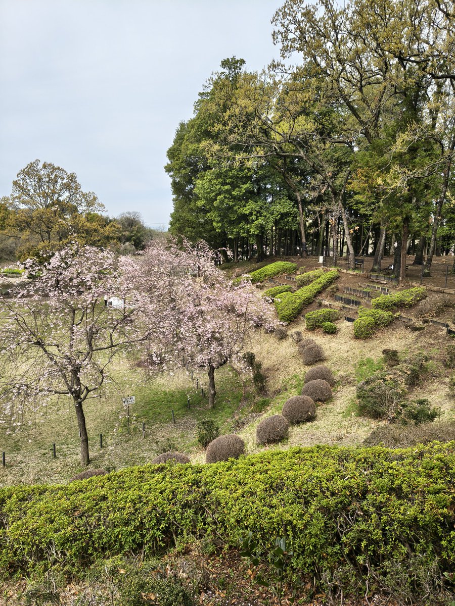 上尾市観光協会 tweet media