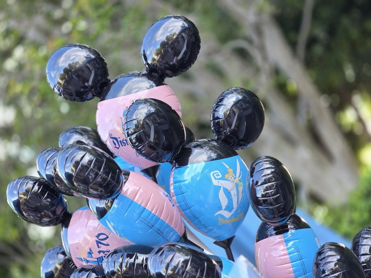 MouseInfo | Disney News and Fun tweet media