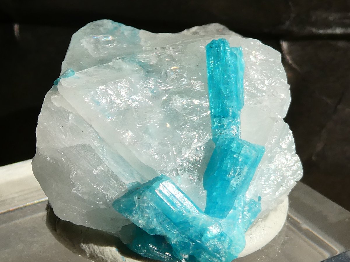 天秤亭てみす🐚 tweet media