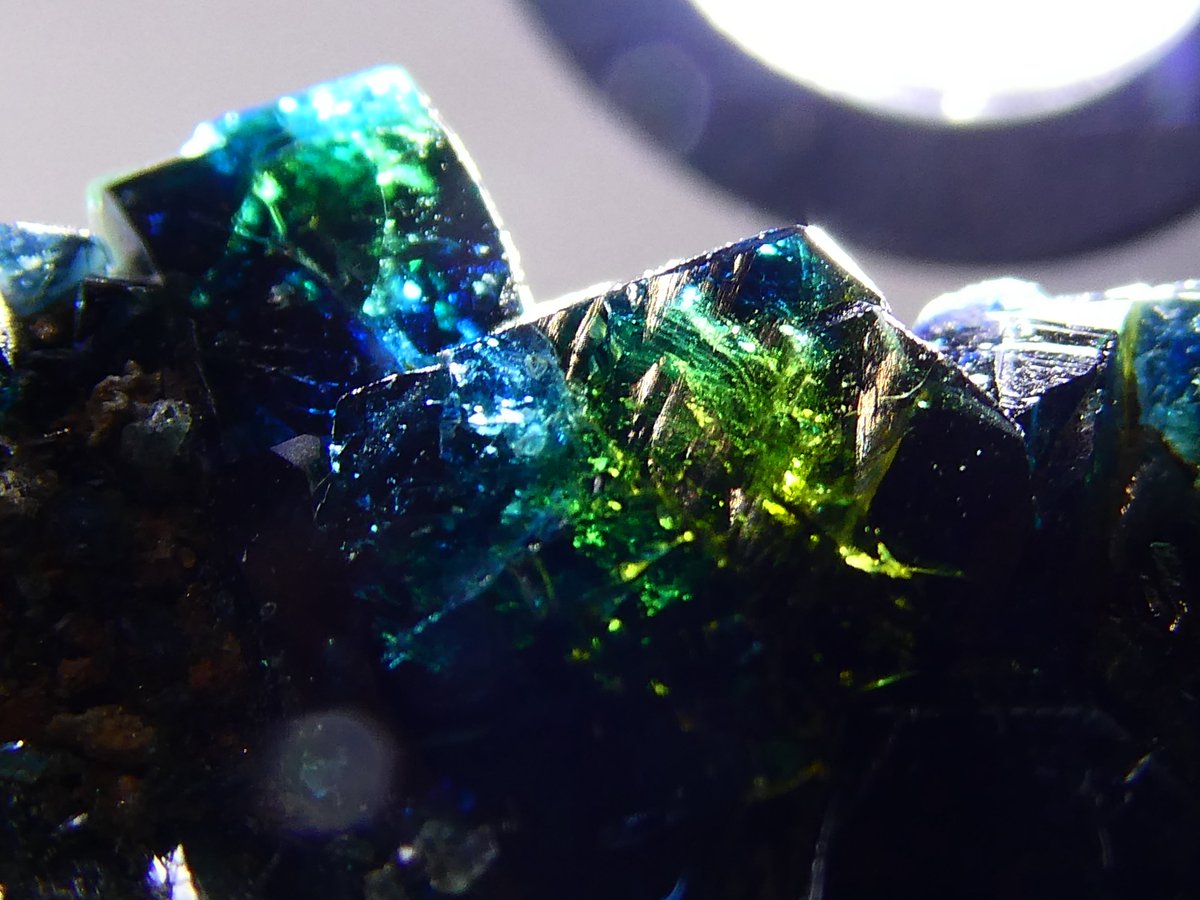 天秤亭てみす🐚 tweet media