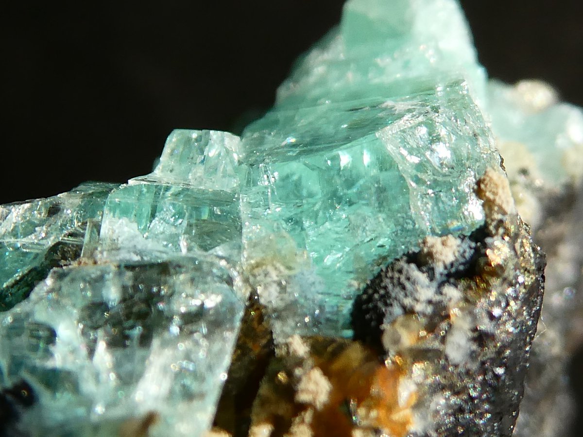 天秤亭てみす🐚 tweet media