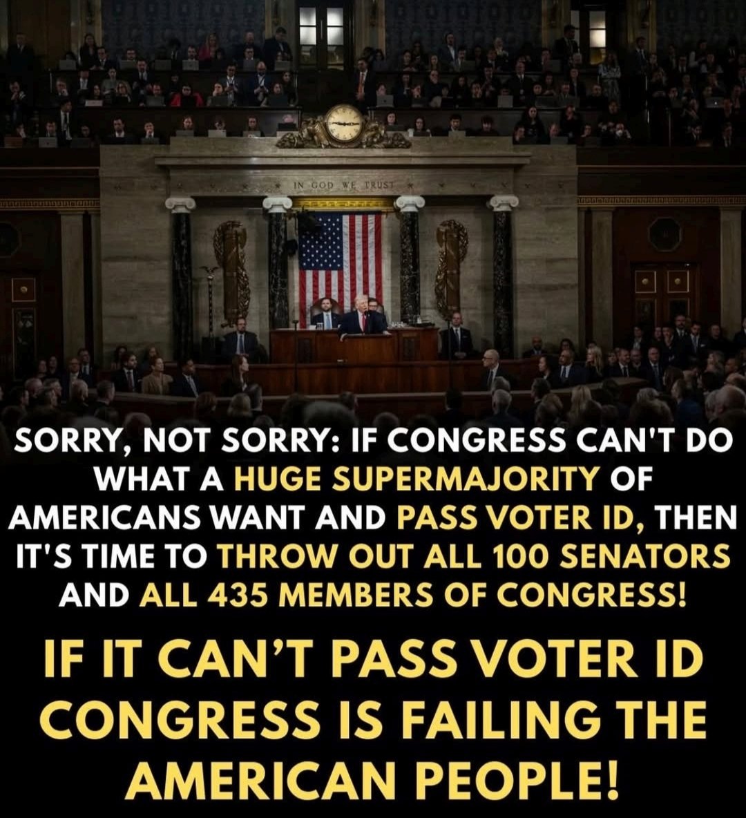 BeardedScallyWag tweet media