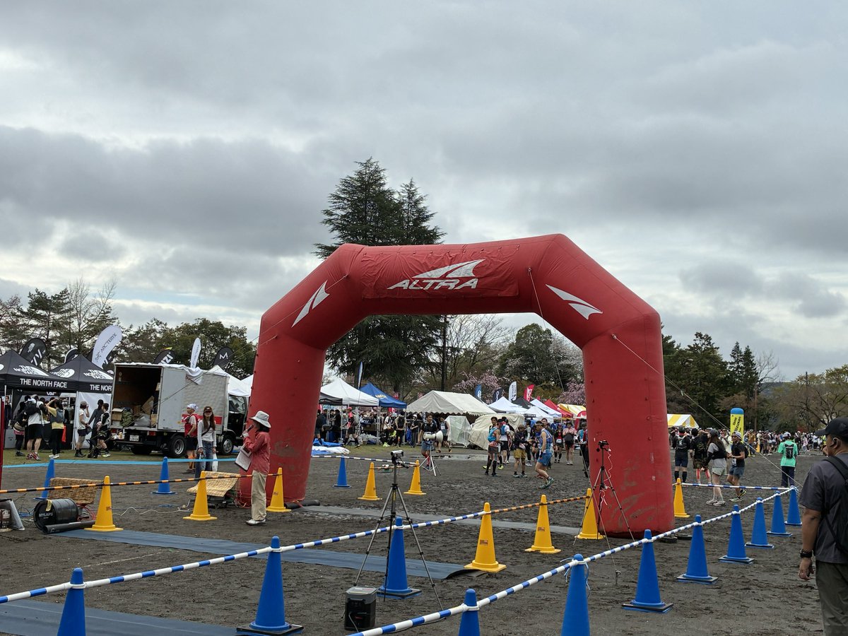 うさぎのようなもの tweet media