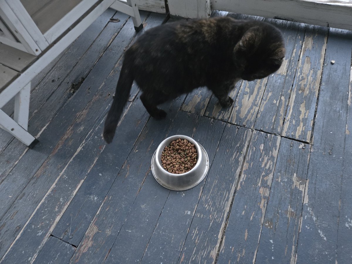 Avery (Rumin InLove) tweet media