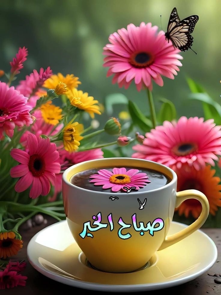 ليالى_العمر tweet media