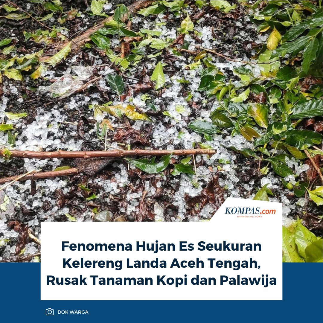 kompascom's tweet photo. "Setahu saya yang cukup parah di kampung kami, Merah Muyang dan Kampung Bukit Sari. Ukuran butir-butir hujan esnya cukup besar, bahkan ada yang seukuran kelereng," ucap Didi Tata.
Baca selengkapnya: https://t.co/8mVWOaFDNu
~SN #hujanEs #acehTengah https://t.co/WTf1TaBgLa