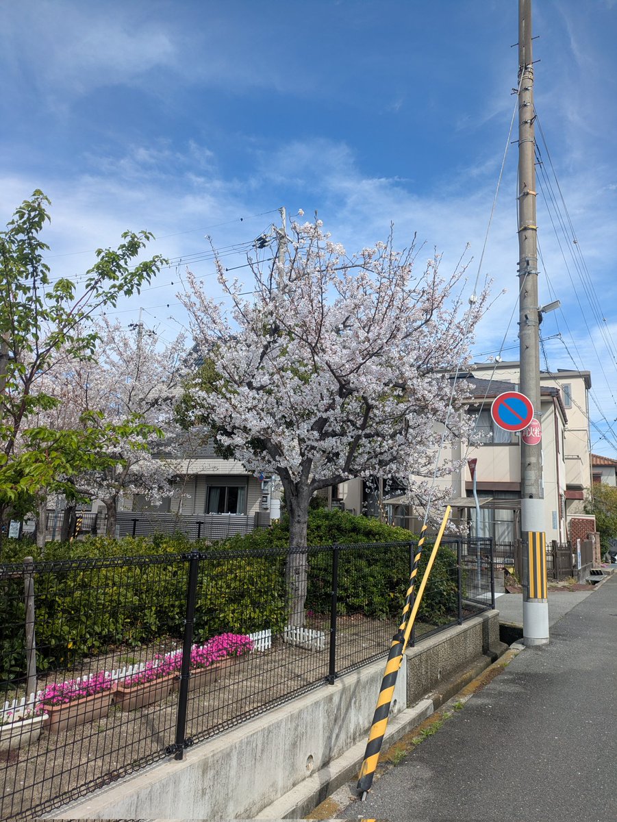 雑談好きのヒイロ🎗\(´ω`)/🎶UBI賛成! tweet media