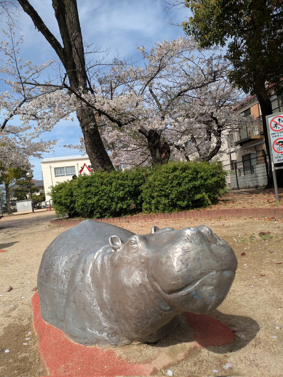 雑談好きのヒイロ🎗\(´ω`)/🎶UBI賛成! tweet media