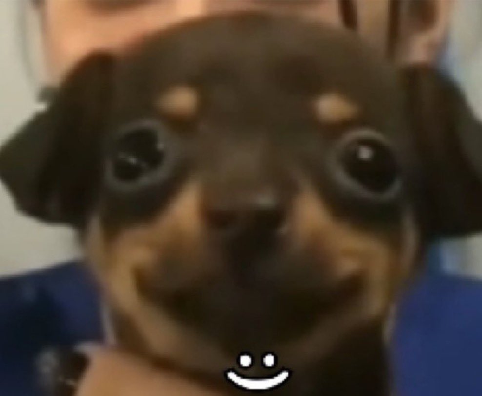 duda ★ tweet media