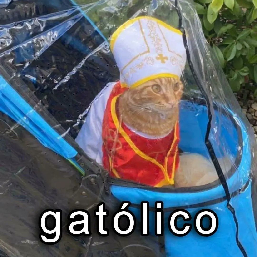 Shitpost só que de verdade tweet media