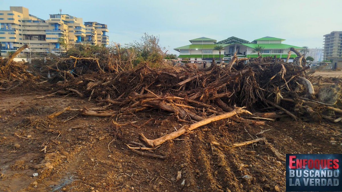 explorador_76's tweet photo. Cambiar un ecosistema resiliente, que nos protege contra inundaciones y marejadas actuando como una esponja hídrica natural, por canchas de juego es la definición máxima de la ignorancia estratégica. 
https://t.co/GTjr9vcpYy https://t.co/HQmDHgVi3S