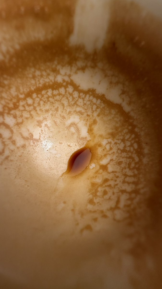 صقُر tweet media