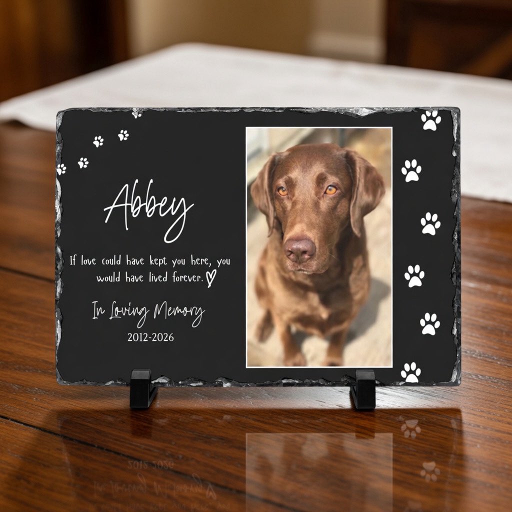 Jackson & Willow tweet media