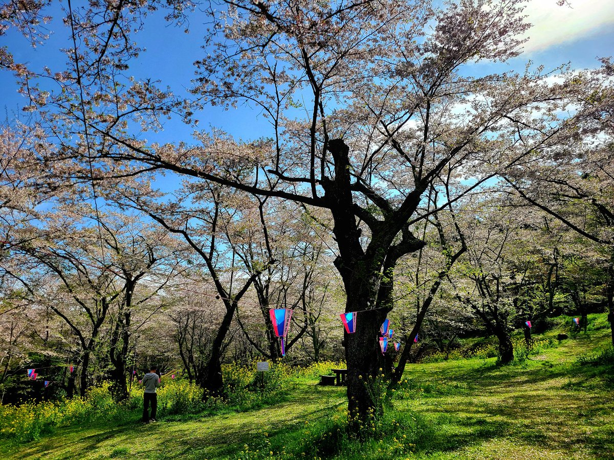 カズ1400 tweet media