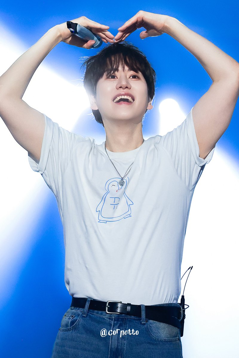 코네토 tweet media