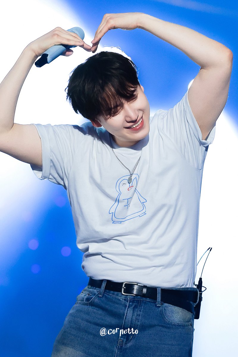 코네토 tweet media