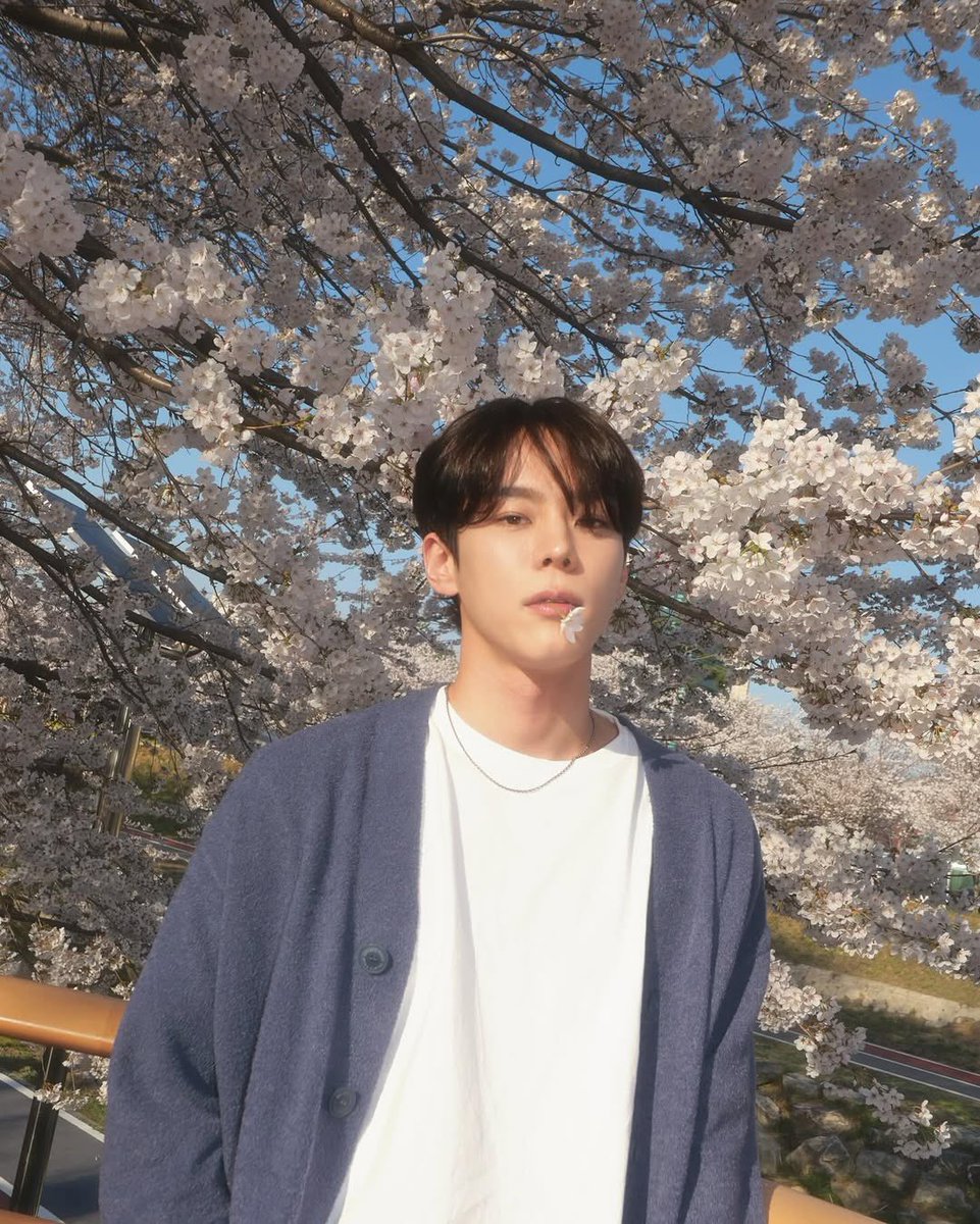 yuki🍒 (slow) tweet media