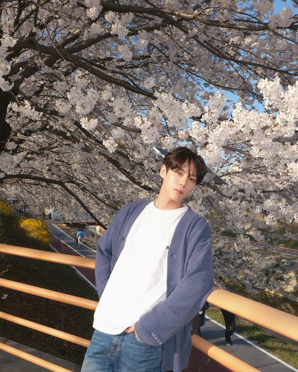 yuki🍒 (slow) tweet media