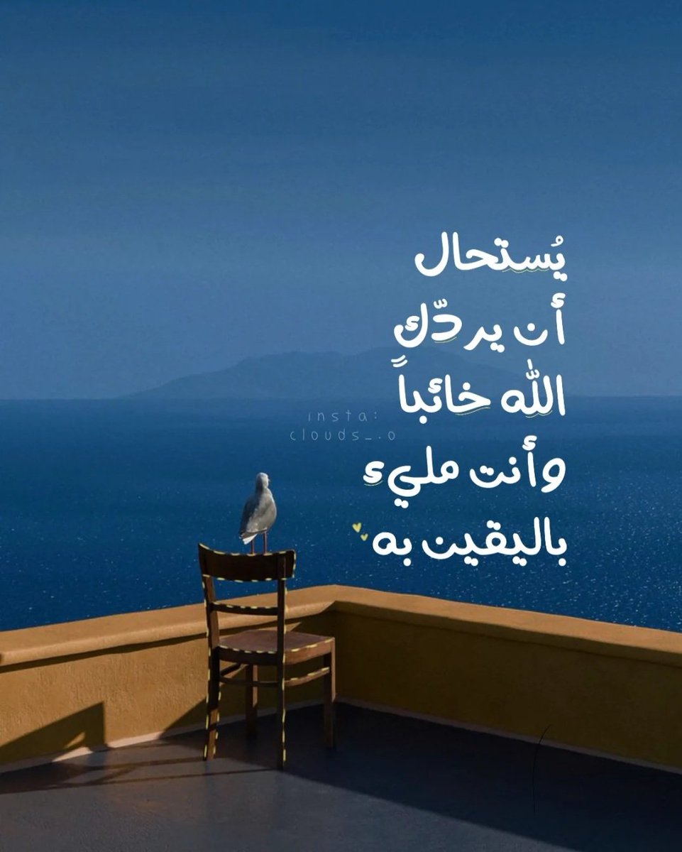 سفيرة الخير tweet media