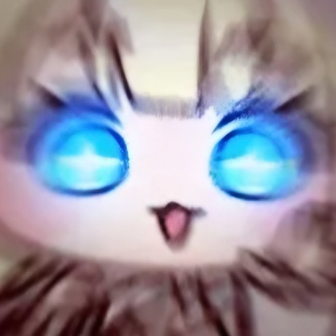 모닝킷 tweet media