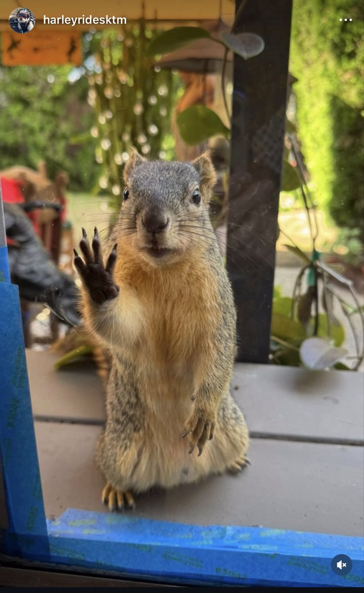 Xpressions tweet media