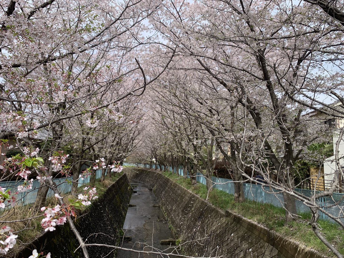 MRP@貧乏だけど心は裕福 tweet media