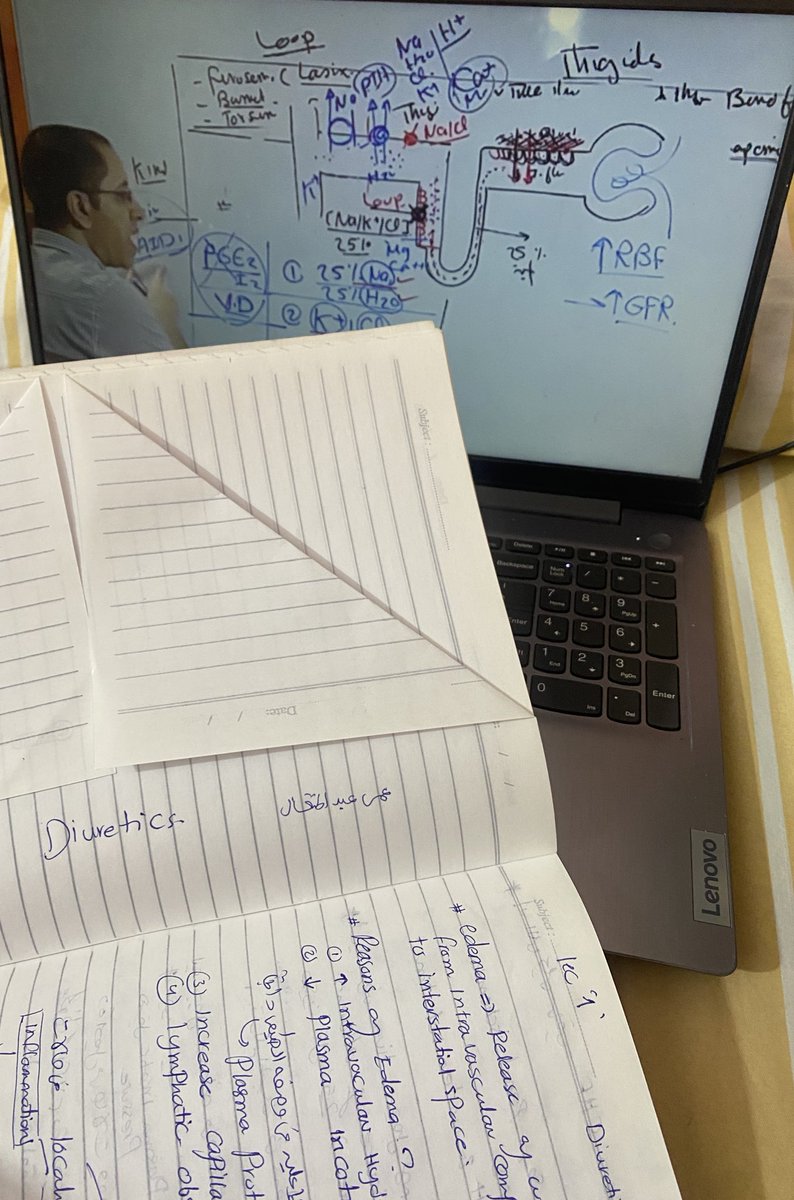 Toqa Mondy tweet media