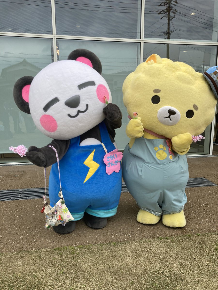 まめ⚡️ tweet media