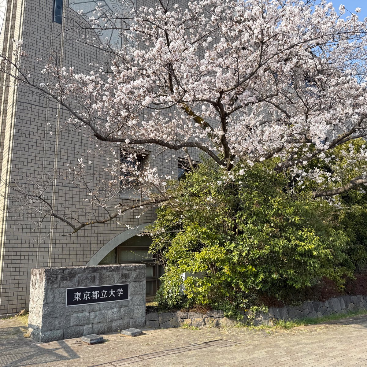 東京都立大学理学部生命科学科の准教授を拝命しました。
教育重点教員（任期5年）という新しい枠組みで、学部生の生物学の基礎教育を主な職責とします。教育と科学コミュニケーションを通じて基礎科学の裾野を広げることを目指してきた私にとって、またとないチャンスを頂いたと思っています。(1/3)