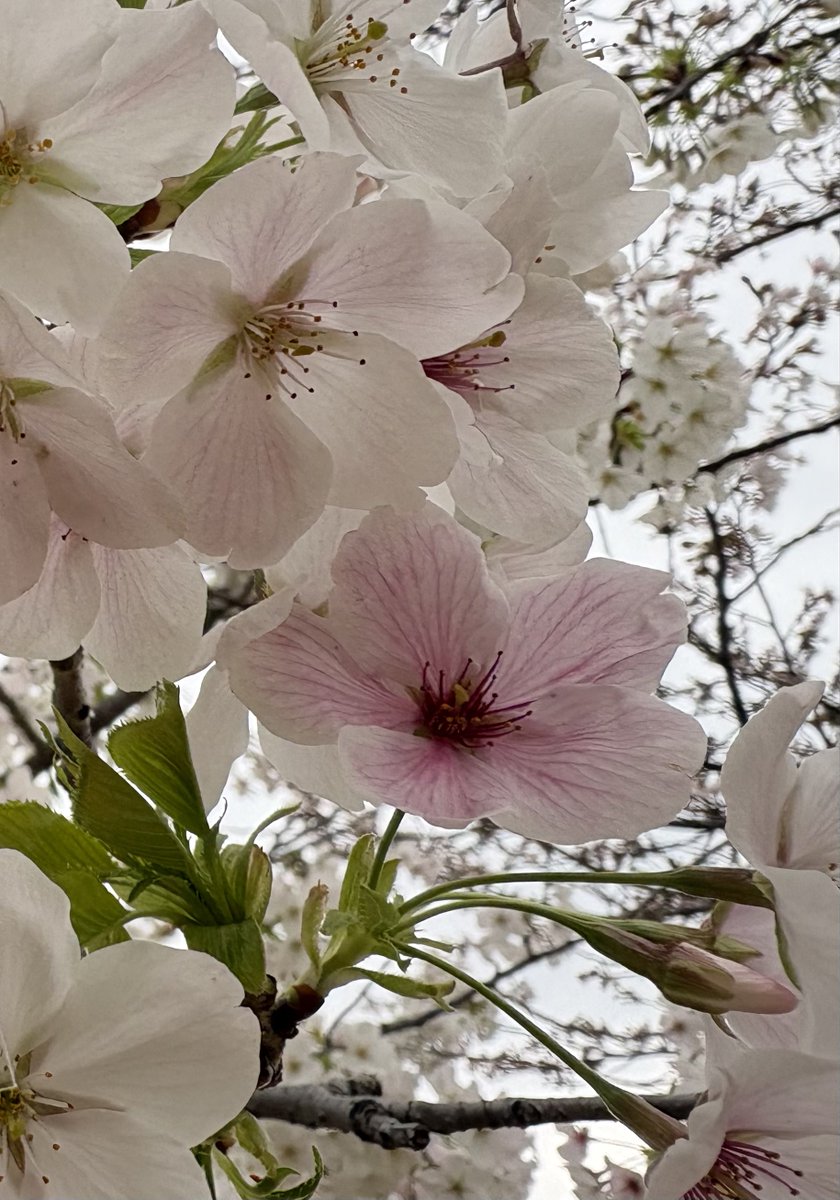 赤子-akago- tweet media