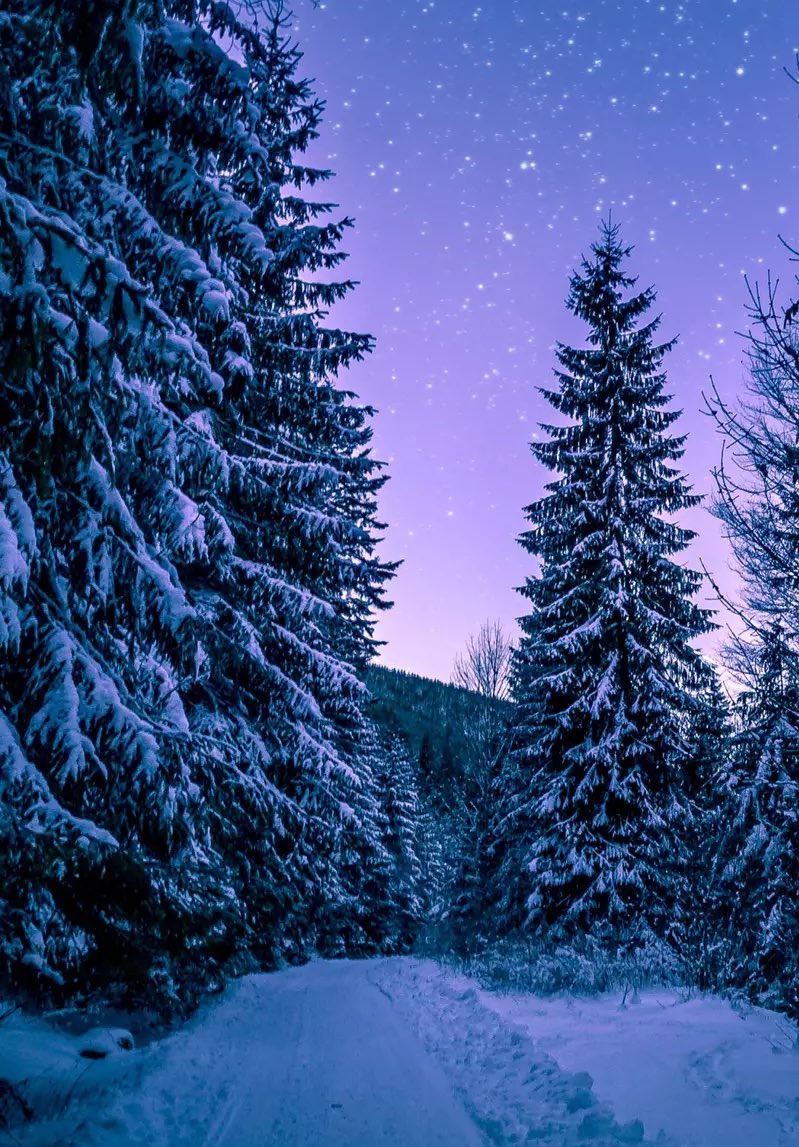 purenature_1's tweet image. Snowy and pinky ❄️💖 #NatureBeauty