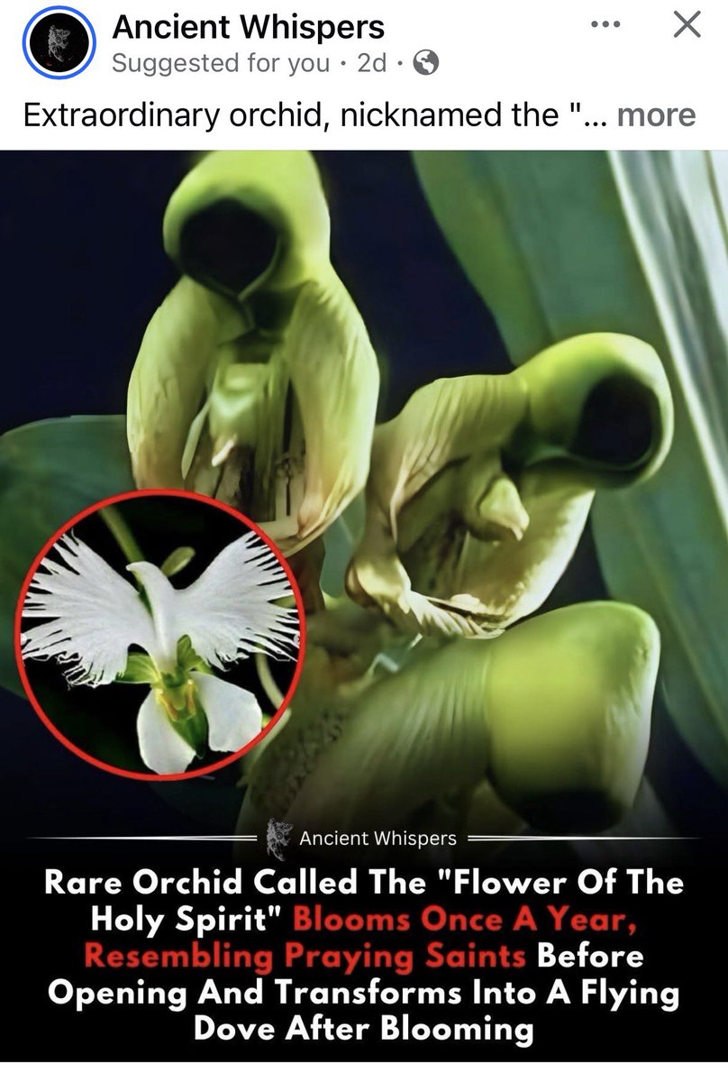 coffeedude❌❌ tweet media