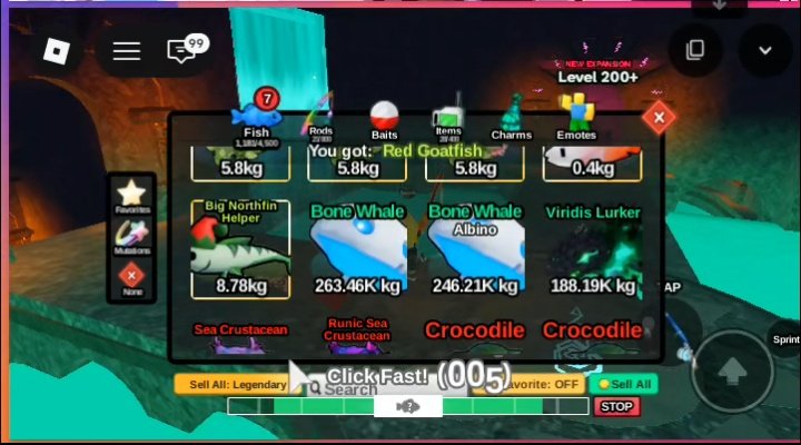 berr | @ after dm pls tweet media