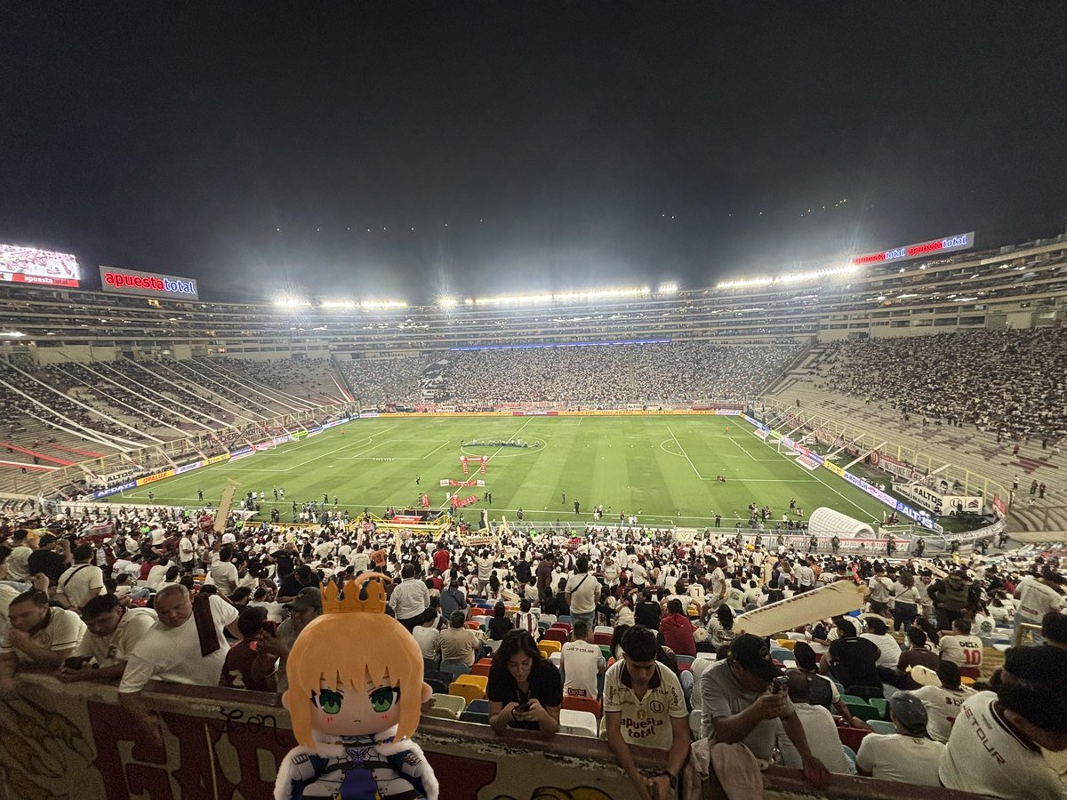 🤍 Saber Grone ✨ tweet media