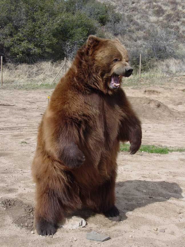 # JORDAN . . . 🇵🇸 tweet media