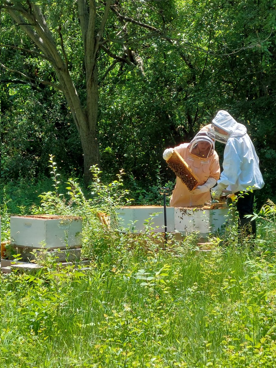 Whiteeee32's tweet photo. @jiro_0026 My sister and her friend bee keeping in Ohio https://t.co/94oAlViESi