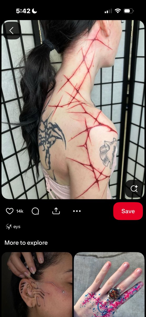 chua ⊹ ࣪ ˖ ꜱʜᴇᴅᴛᴡᴛ tweet media