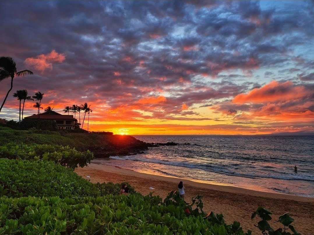 Gretchen Lynn tweet media