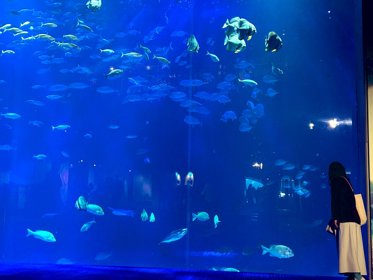 せーじ tweet media