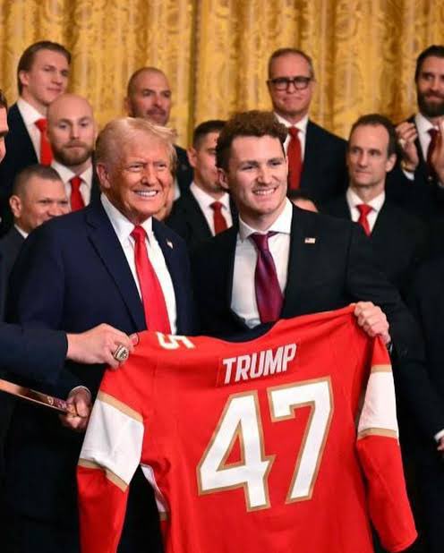 Harry Torso tweet media