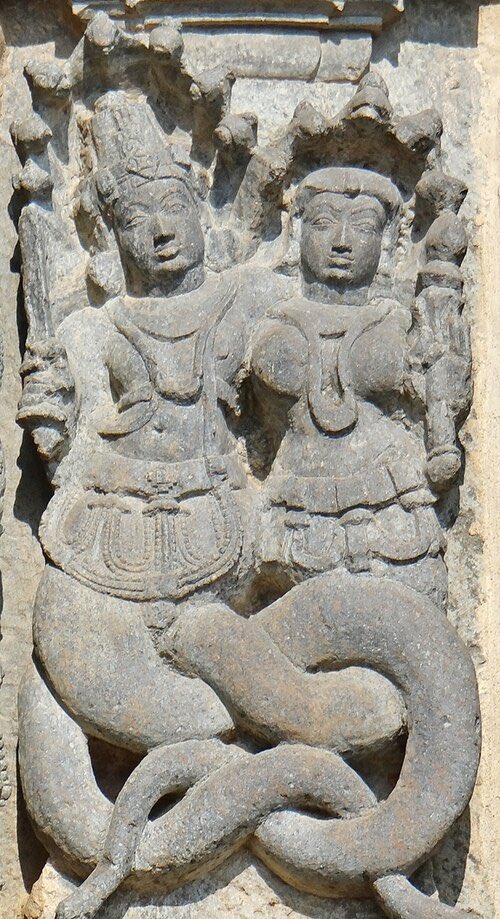 The Ugly Photo tweet media