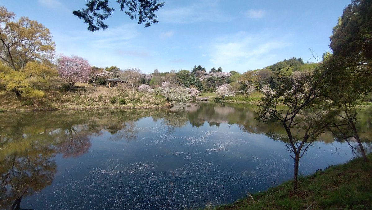 すこみ tweet media