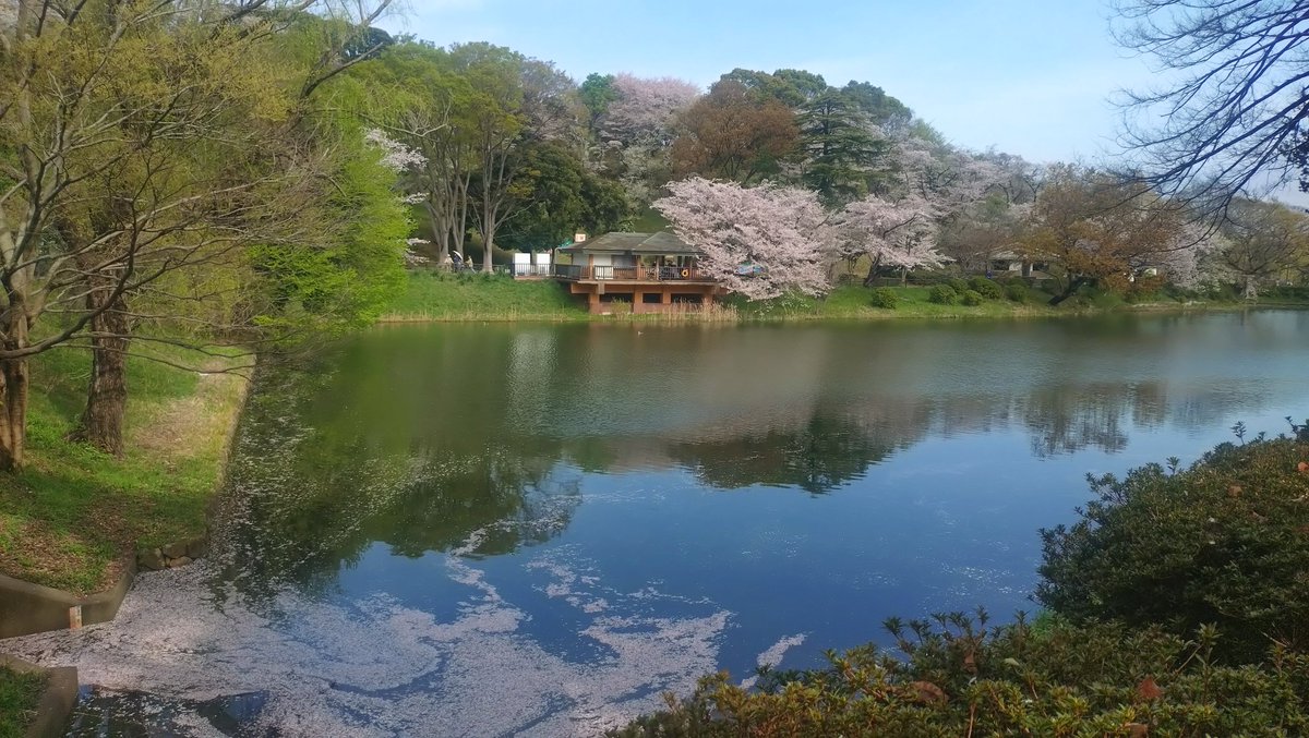 すこみ tweet media