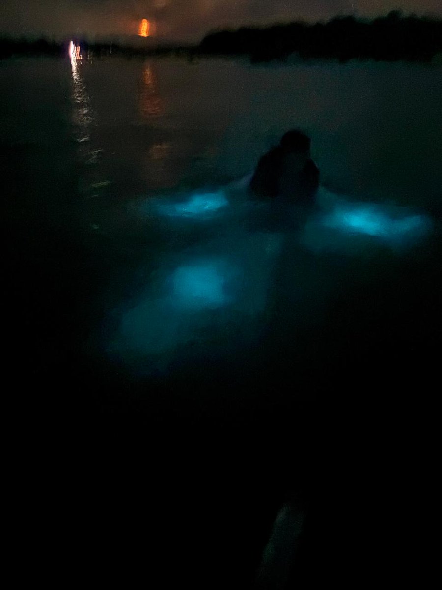 ☻ ꧁꧂ tweet media