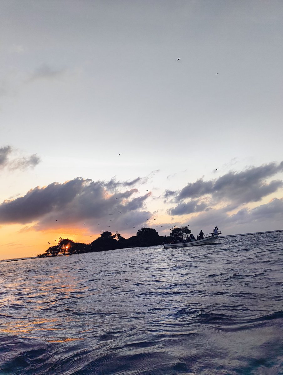 ☻ ꧁꧂ tweet media