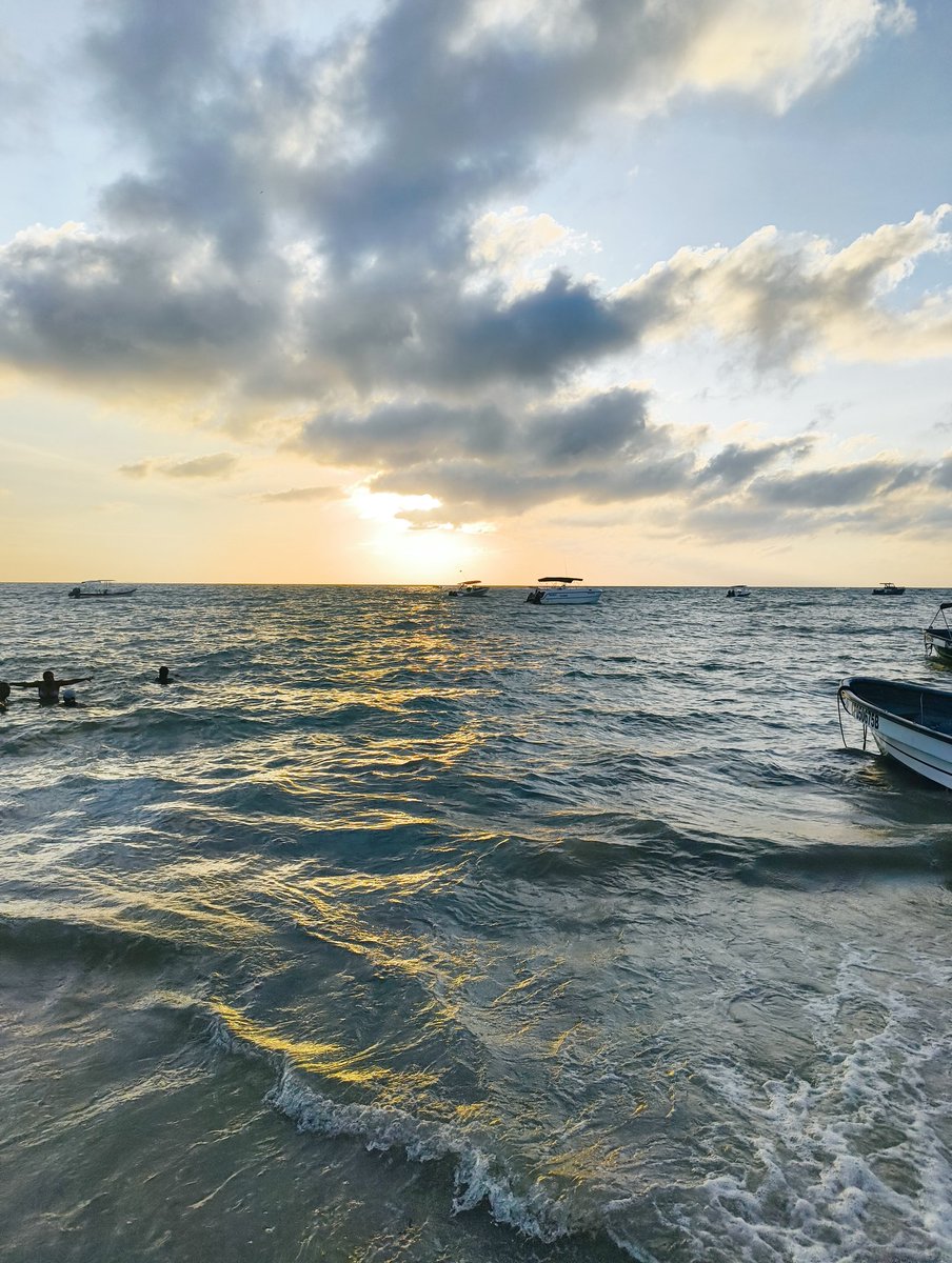 ☻ ꧁꧂ tweet media