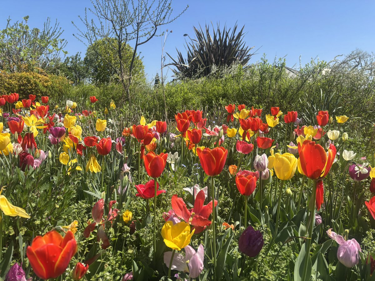 金城 色🌺5/31横浜minthallワンマン tweet media