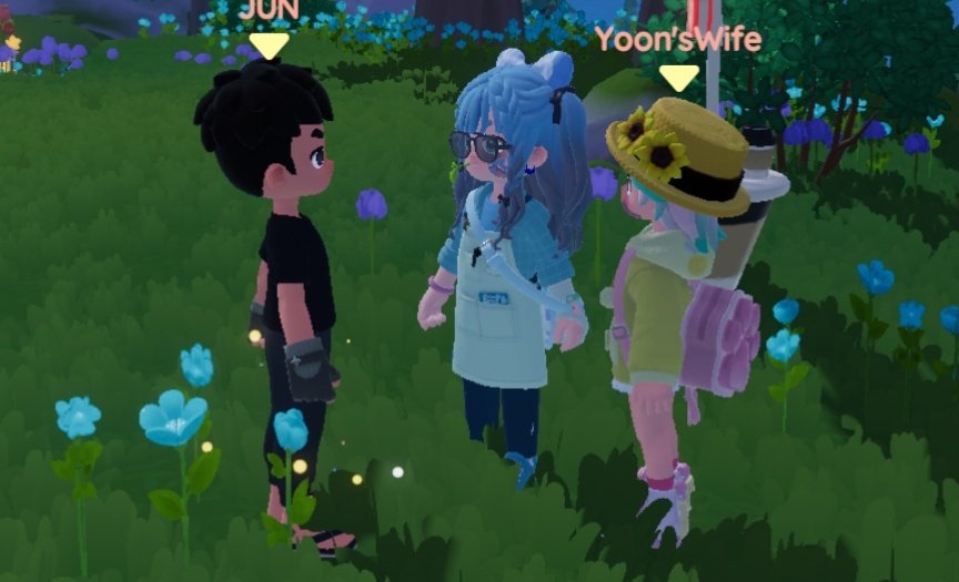 HanHan 🍵🌺 tweet media