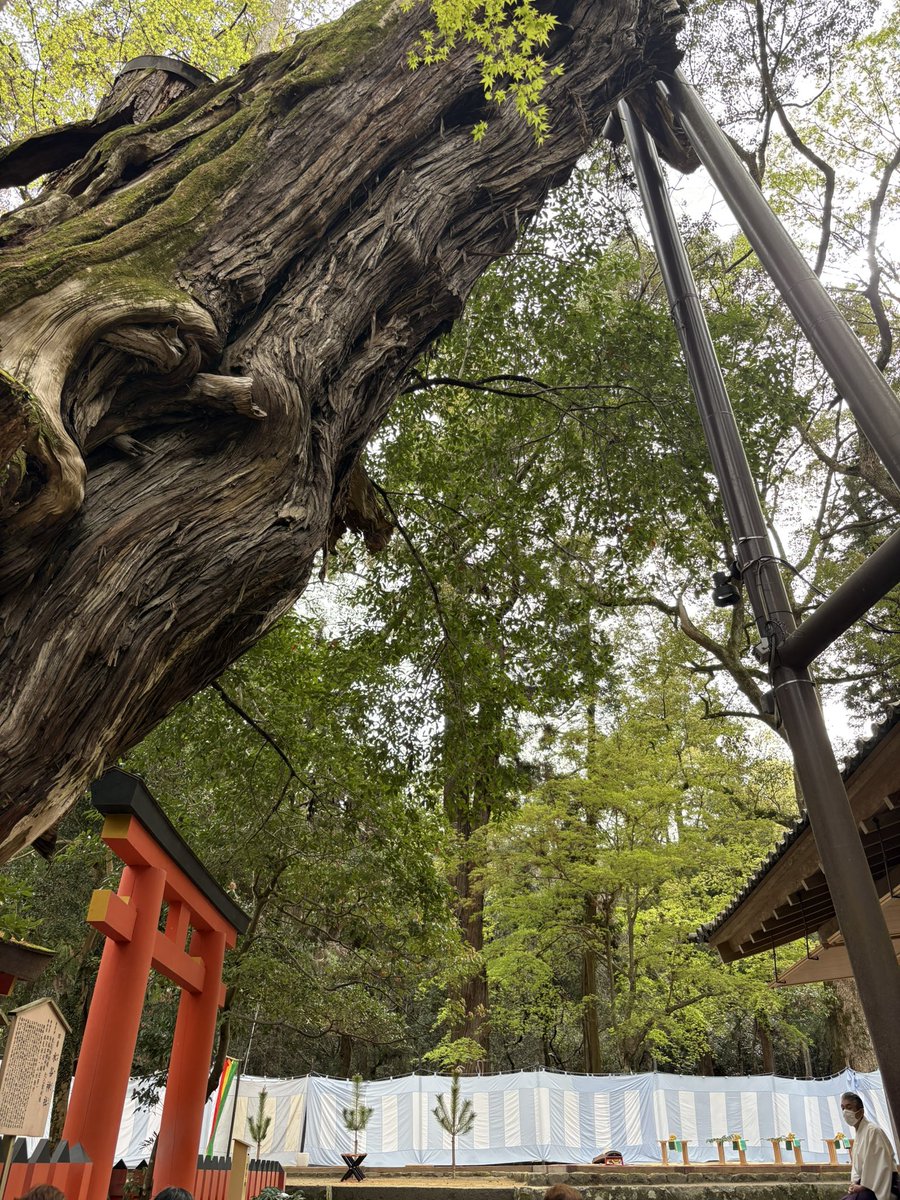 びっちー tweet media